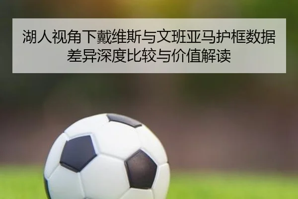 湖人视角下戴维斯与文班亚马护框数据差异深度比较与价值解读